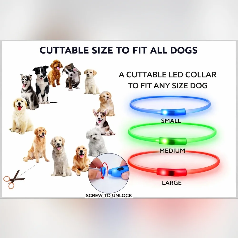Blue LED Light-Up Dog‎ Collar | Rechargeable & Waterproof | Night Safety